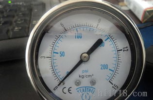 匠心工艺，精准之选 余姚市低塘合胜仪表厂不锈钢表高清细节鉴赏